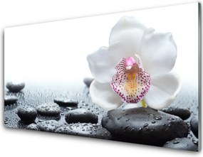 Panel Szklany Malarska Interpretacja Storczyka