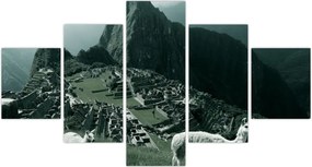 Obraz - Lamy w Machu Picchu w Peru (125x70 cm)