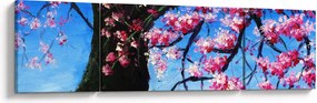 Obraz malowanego kwiatu wiśni (170x50 cm)