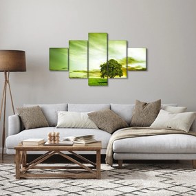 Obraz - Drzewo życia (125x70 cm)