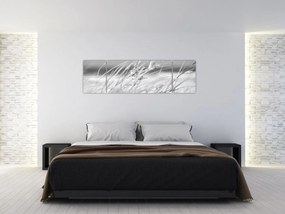 Obraz - Trawa plażowa (170x50 cm)