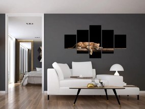 Obraz - Lwica (125x70 cm)