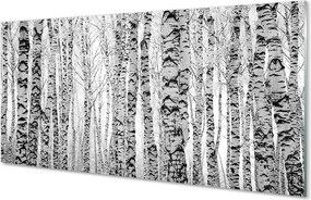 Szklany Panel Brzozy w Kontraście Czerni i Bieli