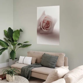Plakat Różany cień 21x30 cm bez ramy bez marginesu ARTGEIST B