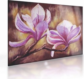 Obraz na szkle - Kwiaty magnolii (70x50 cm)