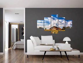 Obraz pola słoneczników (125x70 cm)