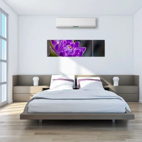 Obraz kwiatu (170x50 cm)