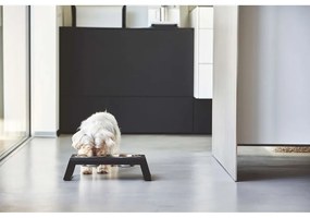 Metalowy zestaw misek dla psów ze stojakiem Desco Black S – MiaCara