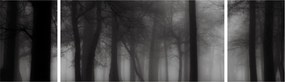 Obraz - Las we mgle (170x50 cm)