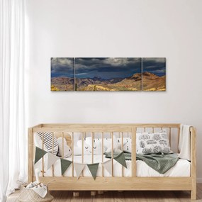Obraz - kaktusy w przyrodzie (170x50 cm)