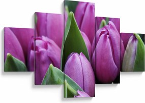Obraz - kwiaty tulipanów (125x70 cm)
