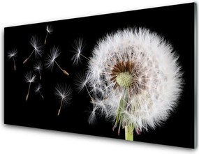 Szkło do Kuchni na Ścianę Puszysty Mniszek Lekarski