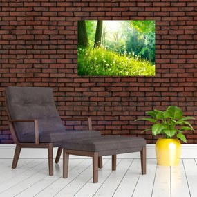 Obraz - Magiczna łąka pełna mniszków lekarskich (70x50 cm)