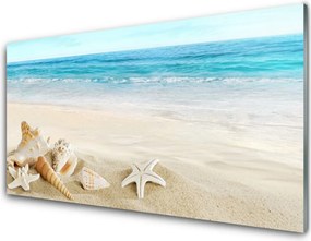 Panel nad blat kuchenny Nadmorskie Skarby Oceanu