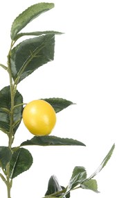 Dekoracyjne drzewko cytrynowe, 58 cm