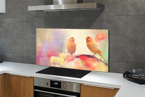Panel Szklany Kolorowe papugi