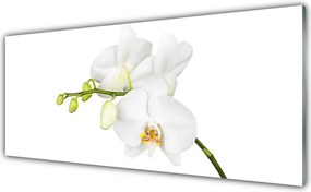 Szkło do Kuchni na Ścianę Egzotyczna Elegancja Orchidei