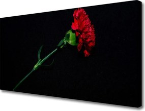 Obraz na płótnie Subtelny Pączek Kwiatu