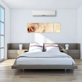Obraz - Kwiat róży dla zakochanych (170x50 cm)