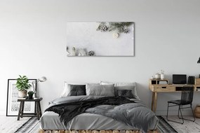 Obraz na płótnie Gałązki i Szyszki