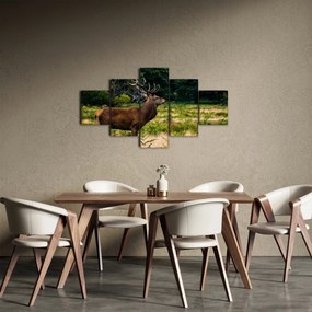 Obraz jelenia (125x70 cm)