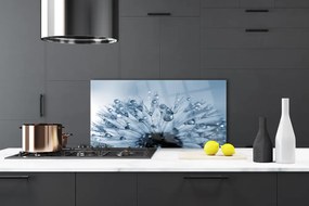 Panel Szklany do Kuchni Dmuchawiec w Porannej Rosie