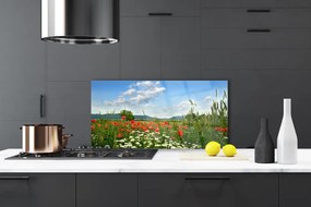 Panel Szklany Sielska Polana Kwiatowa