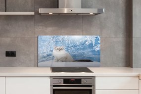 Panel Szklany Kot w Zimowej Scenerii