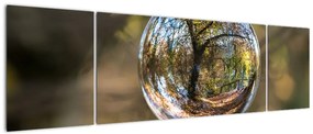 Obraz - Odbicie w szklanej kuli (170x50 cm)