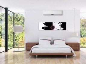 Obraz czarno - białego kwiatu (170x50 cm)