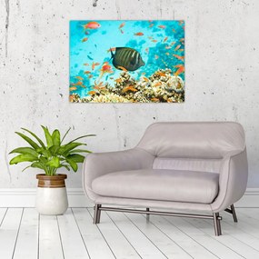Obraz na szkle podwodnego świata (70x50 cm)