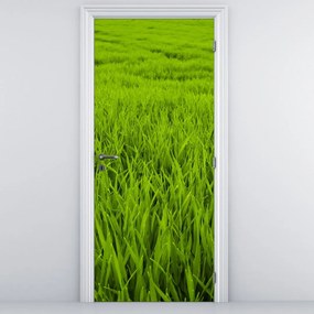 Fototapeta na drzwi - Trawa (95x205cm)