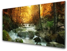Obraz Szklany Wodospad Natura Las Jesień