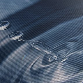 Obraz - Krople (170x50 cm)