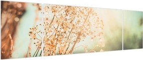 Obraz - Rośliny po deszczu (170x50 cm)