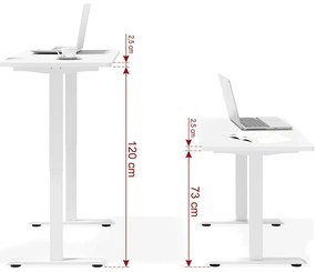 Biurko elektrycznie regulowane dąb artisan + biały B1-T43