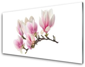 Obraz Akrylowy Kwiaty Roślina Natura