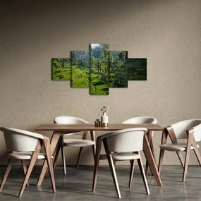 Obraz tarasów ryżowych Tegalalang, Bali (125x70 cm)