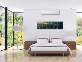 Obraz traw (170x50 cm)