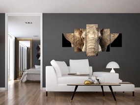 Obraz - Słoń afrykański (125x70 cm)