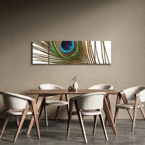 Obraz pawich piór (170x50 cm)