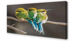 Zdjęcie na płótnie Dwa Ptaki na Gałęzi