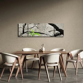 Obraz - Pęknięcia (170x50 cm)