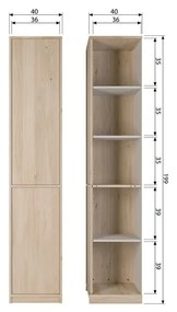 Szafka modułowa w dekorze dębu 40x199 cm Modulair – vtwonen