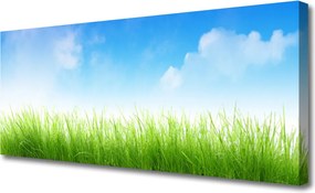 Fotoobraz na płótnie Soczysta Zielona Trawa