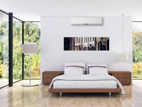 Obraz - Praska uliczka (170x50 cm)