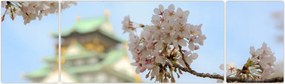 Obraz - Sakura (170x50 cm)