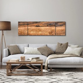 Obraz pola (170x50 cm)