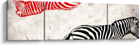 Obraz - Zebry (170x50 cm)