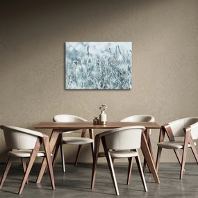 Obraz - Magia zimy (70x50 cm)